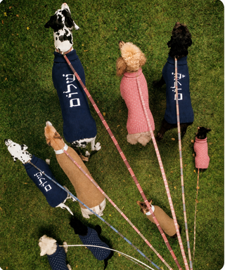 Dog Sweater Sale