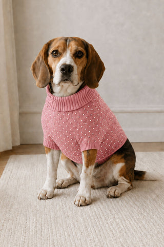 Cotton Cashmere Rhinestone Dog Sweater