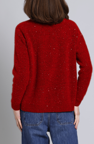 Sparkle Cashmere Boxy Crew Neck