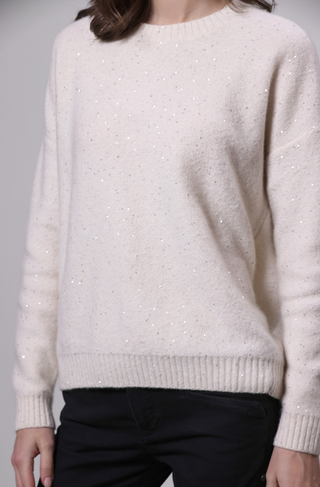 Sparkle Cashmere Boxy Crew Neck