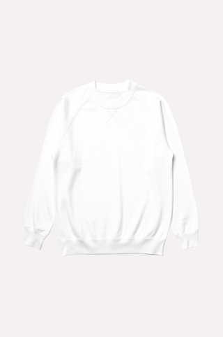 Supima Cotton Cashmere Raglan Sleeve Sweatshirt
