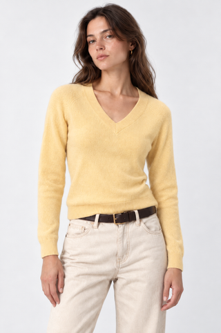 Cashmere Long Sleeve Shrunken V Neck