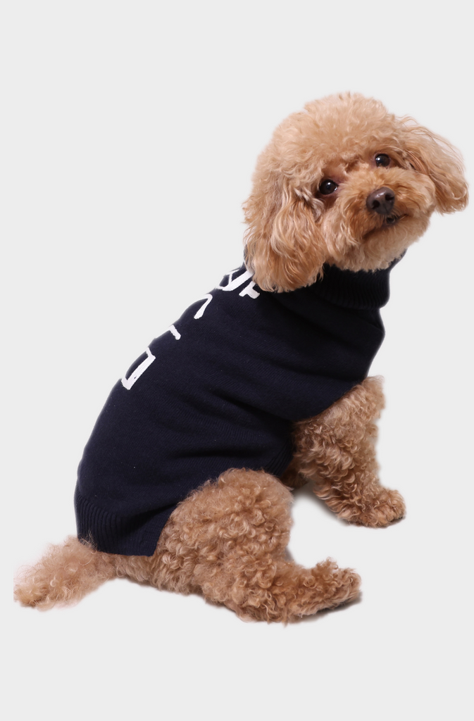 Cotton Cashmere Dog Shalom Embroidery Sweater