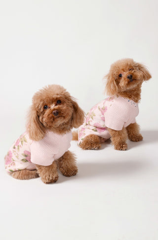 Printed Embellished Dog Sweater