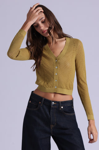 Open Pointelle Cropped Cardigan