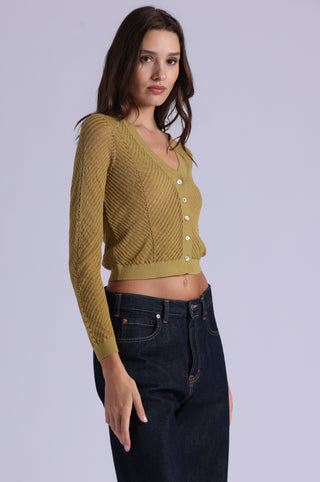 Open Pointelle Cropped Cardigan