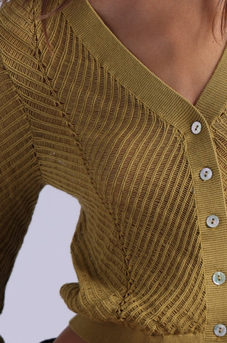 Open Pointelle Cropped Cardigan