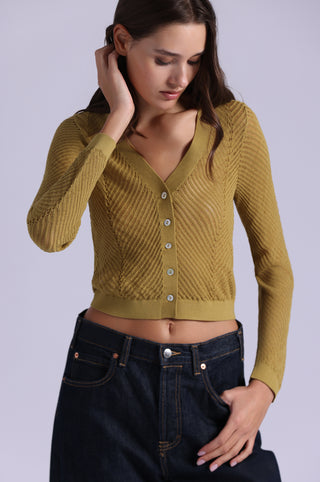 Open Pointelle Cropped Cardigan