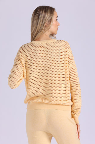 Solid Mesh Long Sleeve V Neck