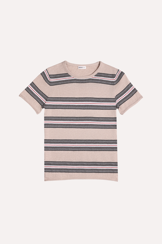 Cotton Cashmere Striped Short Sleeve Crew