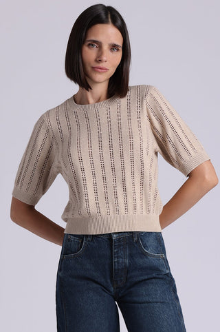 Sparkle Cotton Cashmere Short Sleeve Crew With Pointelle