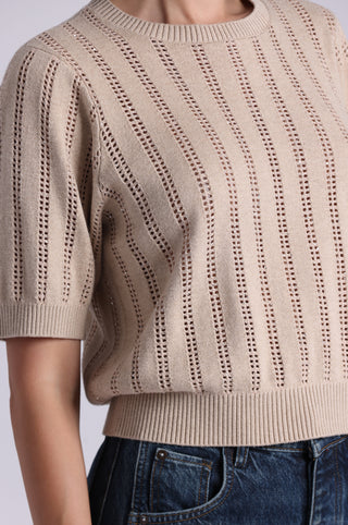 Sparkle Cotton Cashmere Short Sleeve Crew With Pointelle