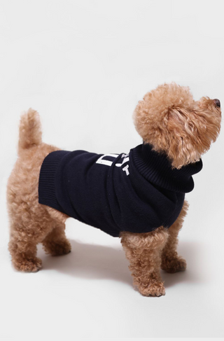 Cotton Cashmere Dog Shalom Embroidery Sweater