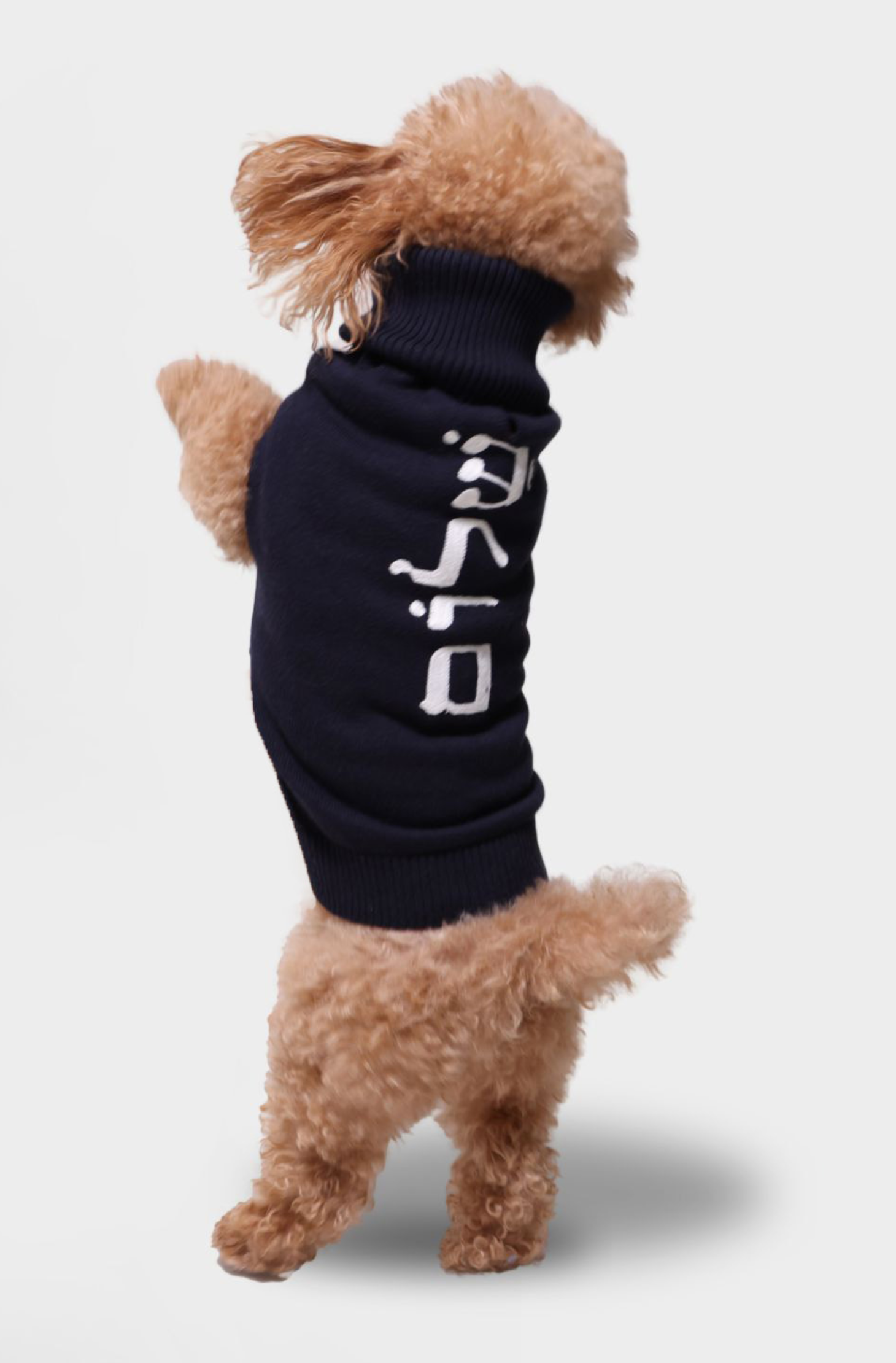 Cotton Cashmere Dog Shalom Embroidery Sweater – Minnie Rose