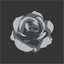 black/grey rose