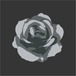 black/grey rose
