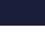 navy/white
